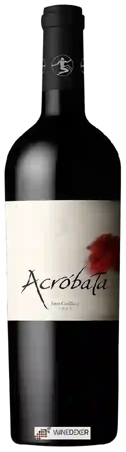 Winery Acróbata - Entre Cordilleras Winery Acróbata - Entre Cordilleras