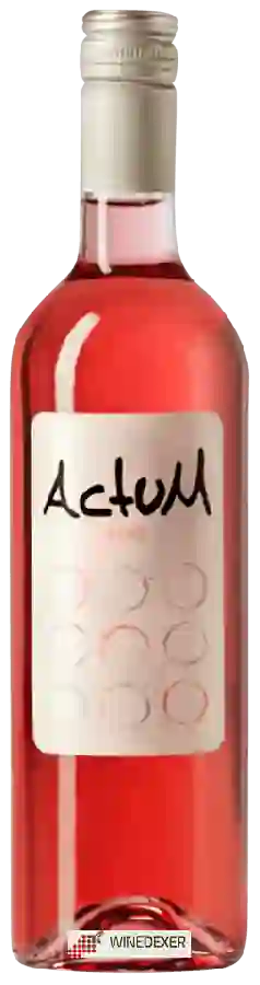 Winery Actum - Rosé