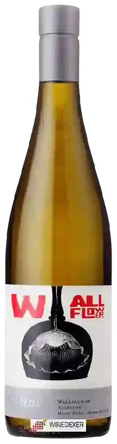 Winery Ad Hoc - Wallflower Riesling