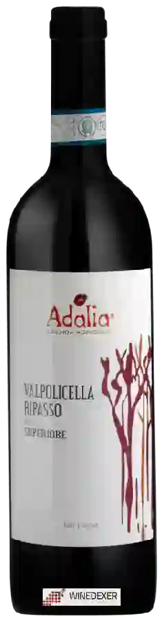 Winery Adalia Azienda Agricola - Balt Valpolicella Ripasso Superiore Winery Adalia Azienda Agricola - Balt Valpolicella Ripasso Superiore