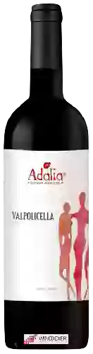 Winery Adalia Azienda Agricola - Laute Valpolicella