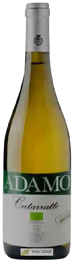 Winery Adamo - Catarratto Winery Adamo - Catarratto