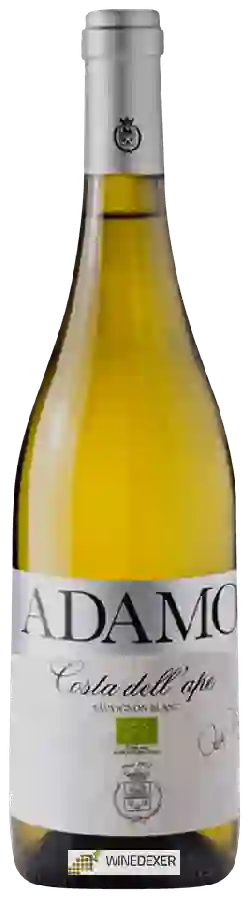 Winery Adamo - Costa dell'Ape Sauvignon Blanc