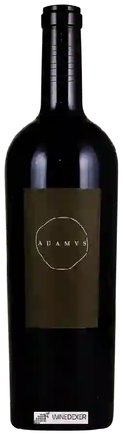 Winery Adamvs - Quintvs Cabernet Sauvignon