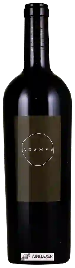 Winery Adamvs - Téres Cabernet Sauvignon
