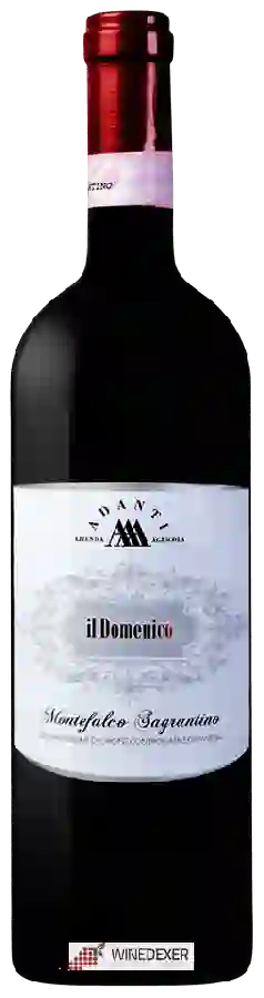 Winery Adanti - Il Domenico Montefalco Sagrantino
