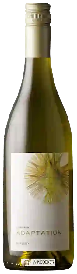 Winery Adaptation - Chardonnay Winery Adaptation - Chardonnay