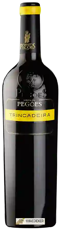 Winery Adega de Pegões Monocasts - Trincadeira Winery Adega de Pegões Monocasts - Trincadeira