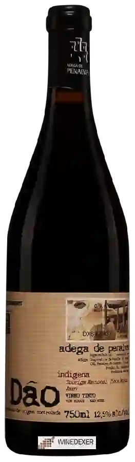 Winery Adega de Penalva - Indigena Tinto