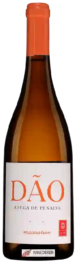 Winery Adega de Penalva - Maceration