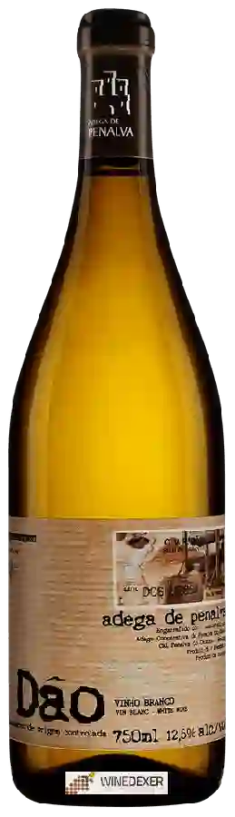 Winery Adega de Penalva - White Blend