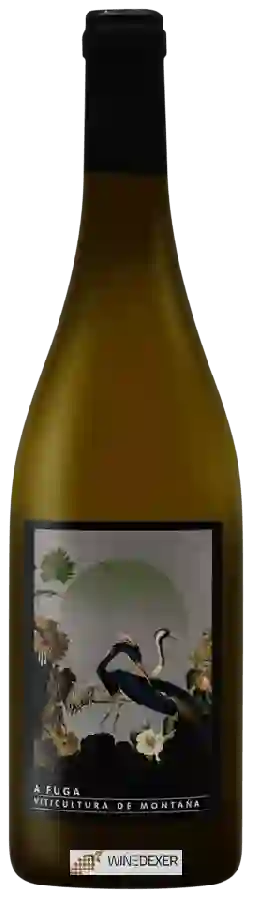 Winery Abadia da Cova - A Fuga Blanco