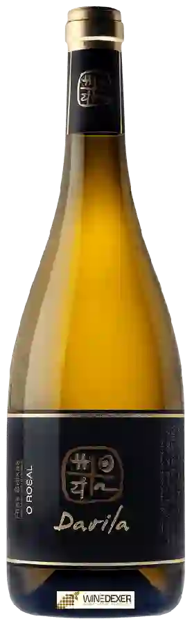 Winery Valmiñor - Davila O Rosal Winery Valmiñor - Davila O Rosal