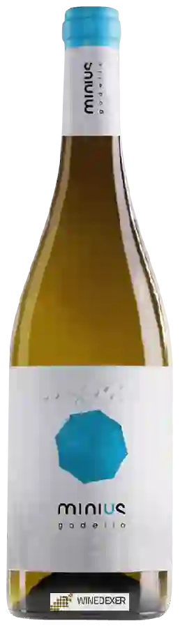 Winery Valmiñor - Minius Godello Winery Valmiñor - Minius Godello