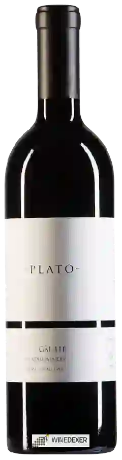 Winery Adir - Plato