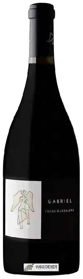 Winery Adobe Guadalupe - Gabriel