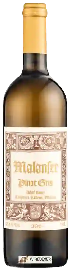 Winery Completer Kellerei - Pinot Gris