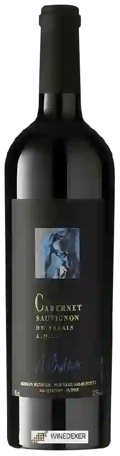 Winery Adrian et Diego Mathier - Cabernet Sauvignon