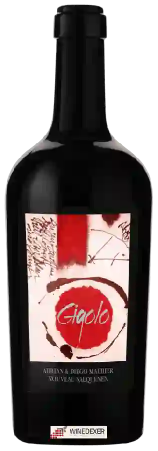 Winery Adrian et Diego Mathier - Gigolo Rot