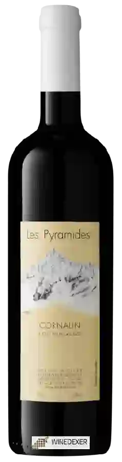 Winery Adrian et Diego Mathier - Les Pyramides Cornalin
