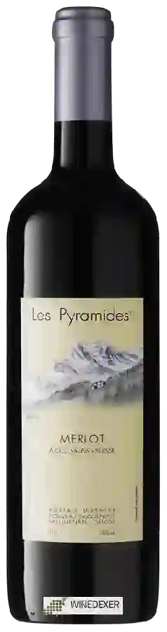 Winery Adrian et Diego Mathier - Les Pyramides Merlot