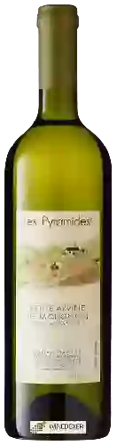 Winery Adrian et Diego Mathier - Les Pyramides Petite Arvine
