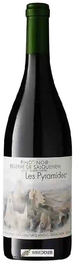 Winery Adrian et Diego Mathier - Les Pyramides Pinot Noir Réserve de Salquenen