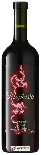 Winery Adrian et Diego Mathier - Mephisto Gamay