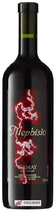Winery Adrian et Diego Mathier - Mephisto Gamay