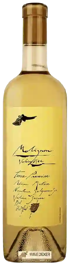 Winery Adrian et Diego Mathier - Molignon Terre Promise