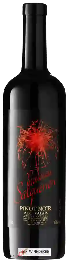 Winery Adrian et Diego Mathier - Pinot Noir