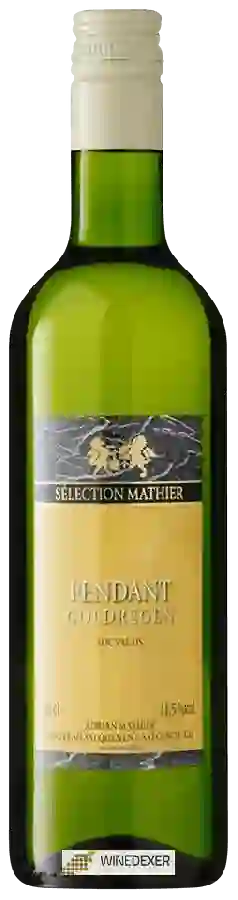 Winery Adrian et Diego Mathier - Selection Mathier Fendant Goldregen Winery Adrian et Diego Mathier - Selection Mathier Fendant Goldregen