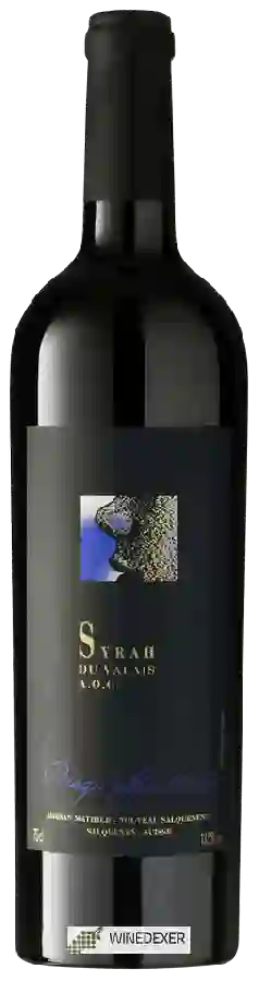 Winery Adrian et Diego Mathier - Syrah