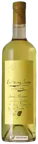 Winery Adrian et Diego Mathier - Ville de Sierre Terre Promise
