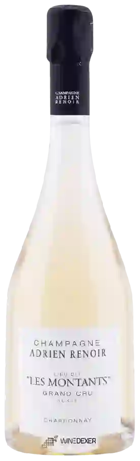 Winery Adrien Renoir - Lieu Dit Les Montants Chardonnay Champagne Grand Cru 'Verzy'