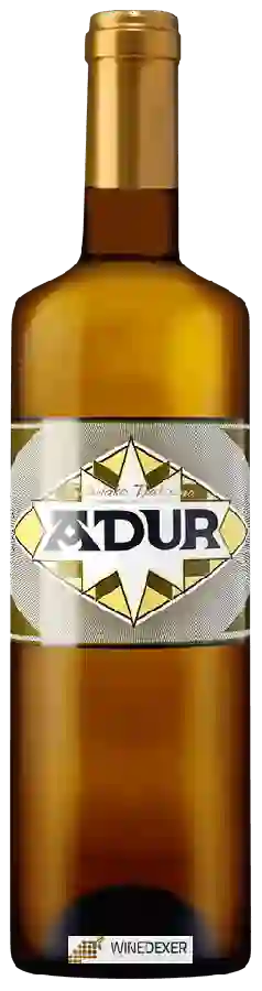 Winery Adur - Getariako Txakolina Blanco
