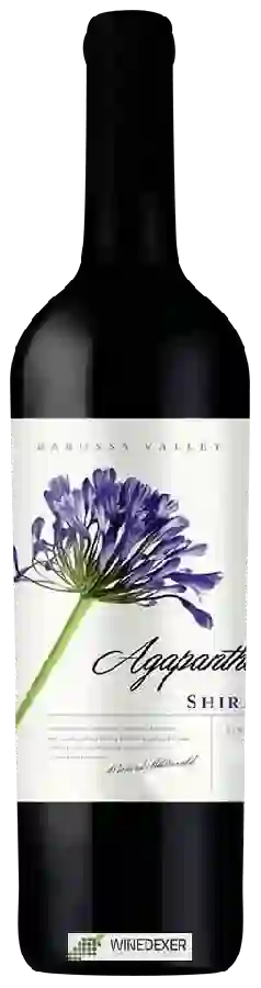 Winery Agapanthus - Shiraz Winery Agapanthus - Shiraz