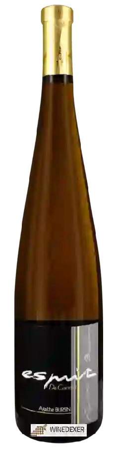 Winery Agathe Bursin - Esprit de Calcaire
