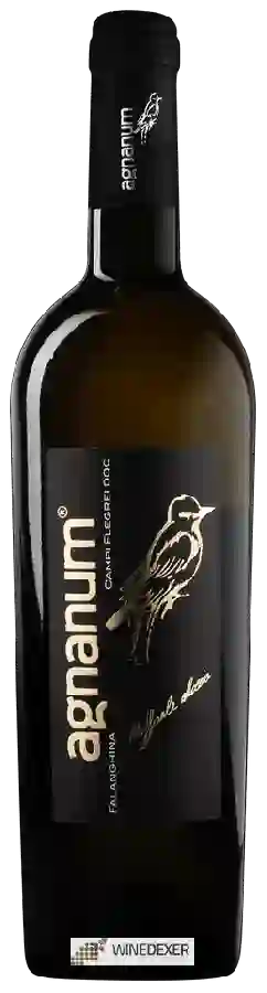 Winery Agnanum - Falanghina Campi Flegrei Winery Agnanum - Falanghina Campi Flegrei