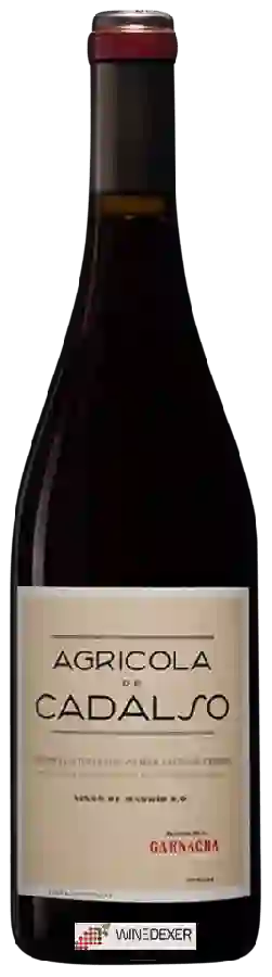 Winery Agricola de Cadalso - Garnacha Winery Agricola de Cadalso - Garnacha