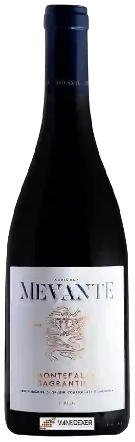 Winery Agricola Mevante - Montefalco Sagrantino Winery Agricola Mevante - Montefalco Sagrantino