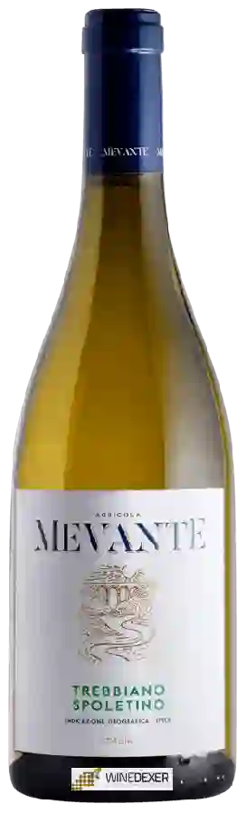 Winery Agricola Mevante - Trebbiano Spoletino