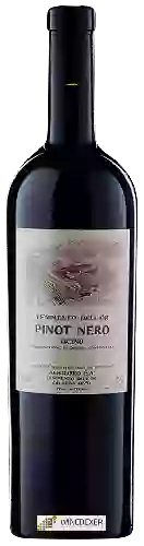 Winery Agriloro - Tenimento dell'Ör Pinot Nero