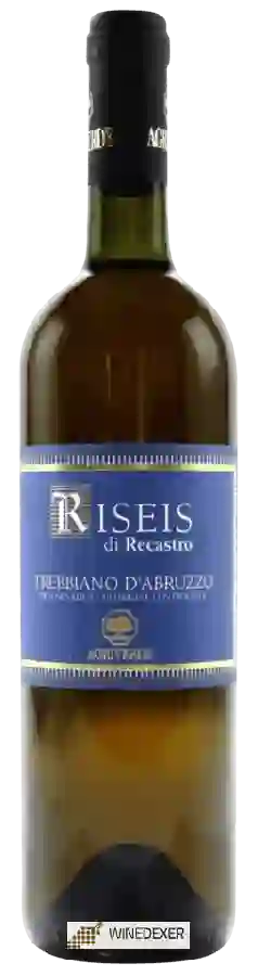 Winery Agriverde - Riseis di Recastro Trebbiano d'Aruzzo