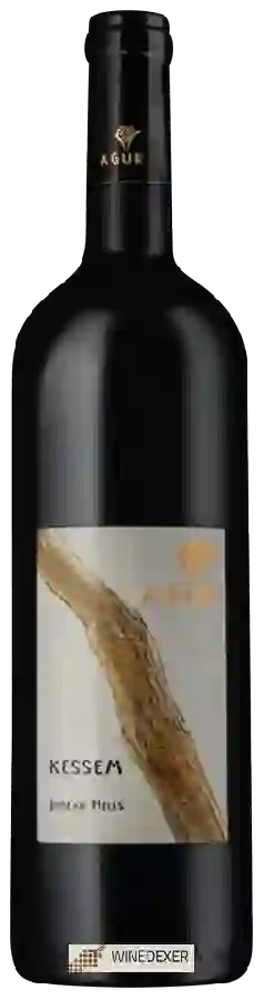 Winery Agur - Kessem