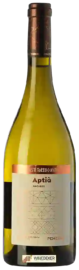 Winery Agusti Torello Mata - Aptia Macabeu