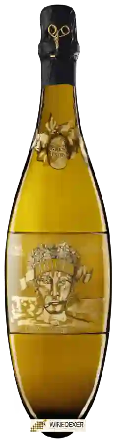 Winery Agusti Torello Mata - Cava Gran Anyada Brut Nature