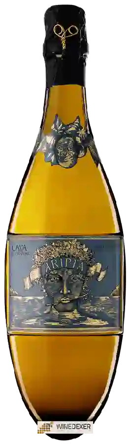 Winery Agusti Torello Mata - Cava Kripta Gran Reserva Brut Nature Winery Agusti Torello Mata - Cava Kripta Gran Reserva Brut Nature