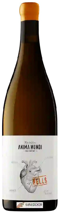 Winery AT Roca - Anima Mundi Pells Skin Contact Macabeu