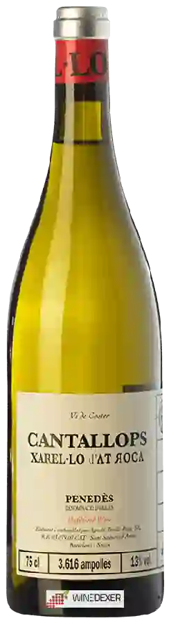 Winery AT Roca - Cantallops Xarel-lo